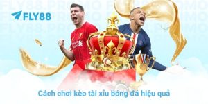 Cách chơi kèo tài xỉu bóng đá hiệu quả